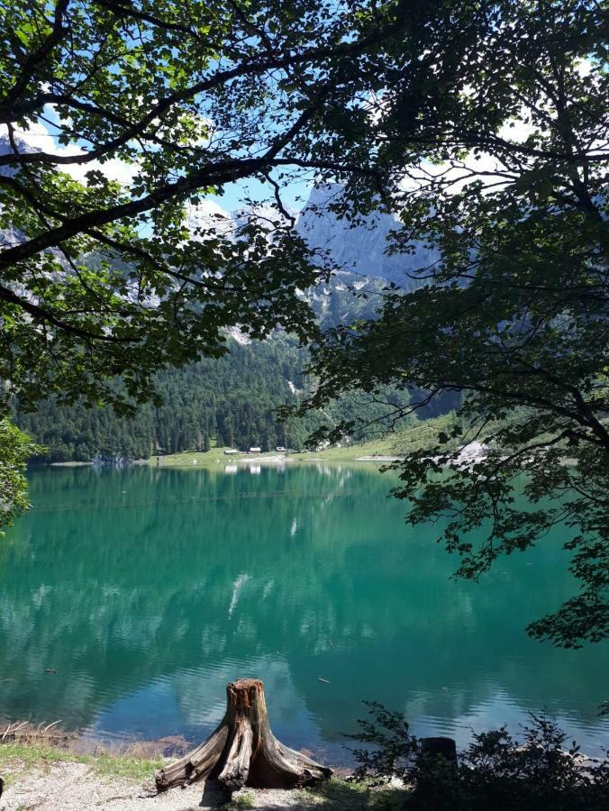 Hallstatt Dachstein Inn Gosau Exterior foto